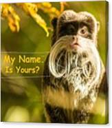 What Is Your Name Canvas Print