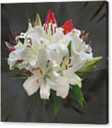 White Bouquet Canvas Print