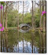 White Bridge Framed By Spring Blooms Canvas Print