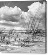 White Clouds Over White Sands In Black And White Canvas Print