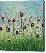 White Daffodils Canvas Print