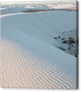 White Dunes Canvas Print