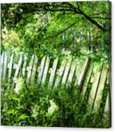 White Fences In The Summer Canvas Print
