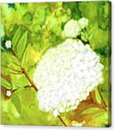 White Hydrangea Alcohol Ink Painting Canvas Print