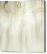 White Lilies Abstract Canvas Print