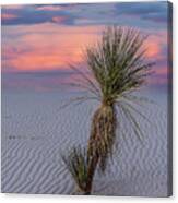 White Sands Yucca 1 Canvas Print