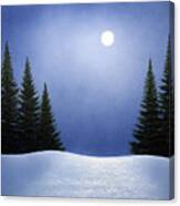 White Spruces In Moonlight Canvas Print