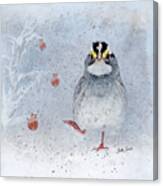 White Throated Sparrow In Winter Canvas Print
