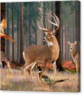 Whitetail Deer Art Print - In His Prime Canvas Print
