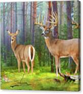 Whitetail Deer Art Print - Wildlife In The Forest Canvas Print