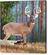 Whitetail Deer Art Squares - Twelve Point Whitetail Deer Buck Canvas Print