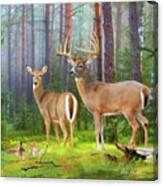 Whitetail Deer Art Squares - Wildlife In The Forest Canvas Print