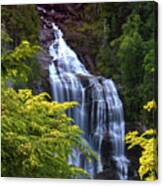 Whitewater Falls Canvas Print
