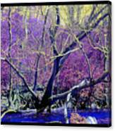 Wild Branches Canvas Print