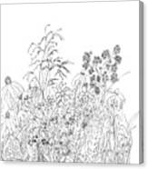 Wild Flowers - Ink Drawing Canvas Print