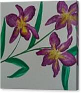 Wild Orchids Canvas Print