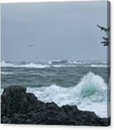 Wild Pacific Canvas Print