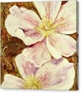 Wild Rose I Canvas Print