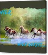 Wild, Wild Horses Canvas Print