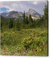 Wildflowers And The Sawtooth Canvas Print