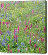 Wildflowers In Morning Fog #1 Canvas Print