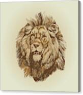 Wildlife Lion King Portrait Hand Drawn Vintage Illustration Canvas Print