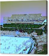 Williams - Brice Stadium #22 Canvas Print