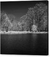 Willow Tree At The Pond Canvas Print