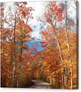 Winding Through The Fall Colors Canvas Print