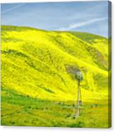 Windmill And Wildflowers Canvas Print
