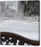 Winter At The Pond Canvas Print