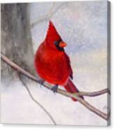 Winter Cardinal Canvas Print
