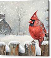 Winter Cardinal Canvas Print