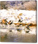 Winter Geese Canvas Print
