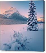 Winter In Mountains Canvas Print