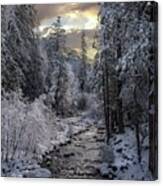 Winter Morning In The Sierras Canvas Print