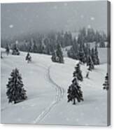 Winter Path In Blizzard Canvas Print