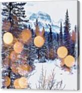 Winter Shimmer Canvas Print