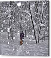Winter Snow In Woods Canvas Print