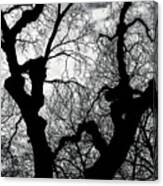 Winter Tree Sillhouette Canvas Print