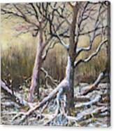 Winter Trees Canvas Print