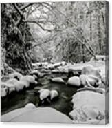 Winter Wonderland Canvas Print