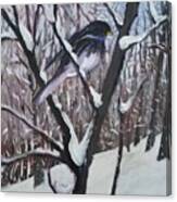 Wintry Bird Canvas Print