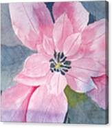 Wip Poinsettia Watercolor Negative Painting Canvas Print