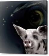 Wishing Piggy Canvas Print