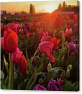 Within You - Tulip Art Canvas Print