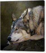 Wolf Watch Canvas Print