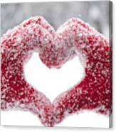 Woman Making Heart Symbol With Snowy Hands Canvas Print