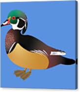 Wood Duck, David Millenheft Art Collection, Dam Creative,bird, Animal, Canvas Print