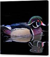 Tranquil Wood Duck Canvas Print